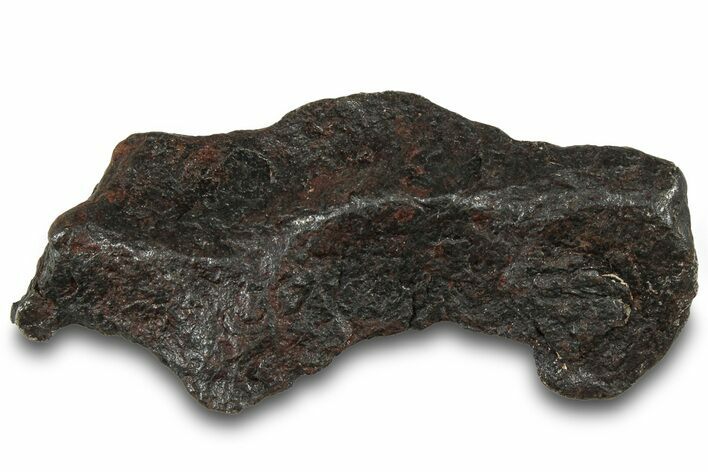 Canyon Diablo Iron Meteorite ( g) - Arizona #319680